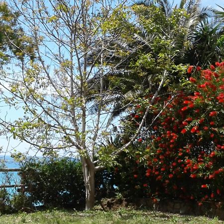 B&B L'Eucalipto Paola Εξωτερικό φωτογραφία