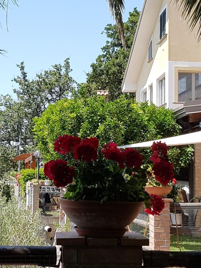 B&B L'Eucalipto Paola Εξωτερικό φωτογραφία
