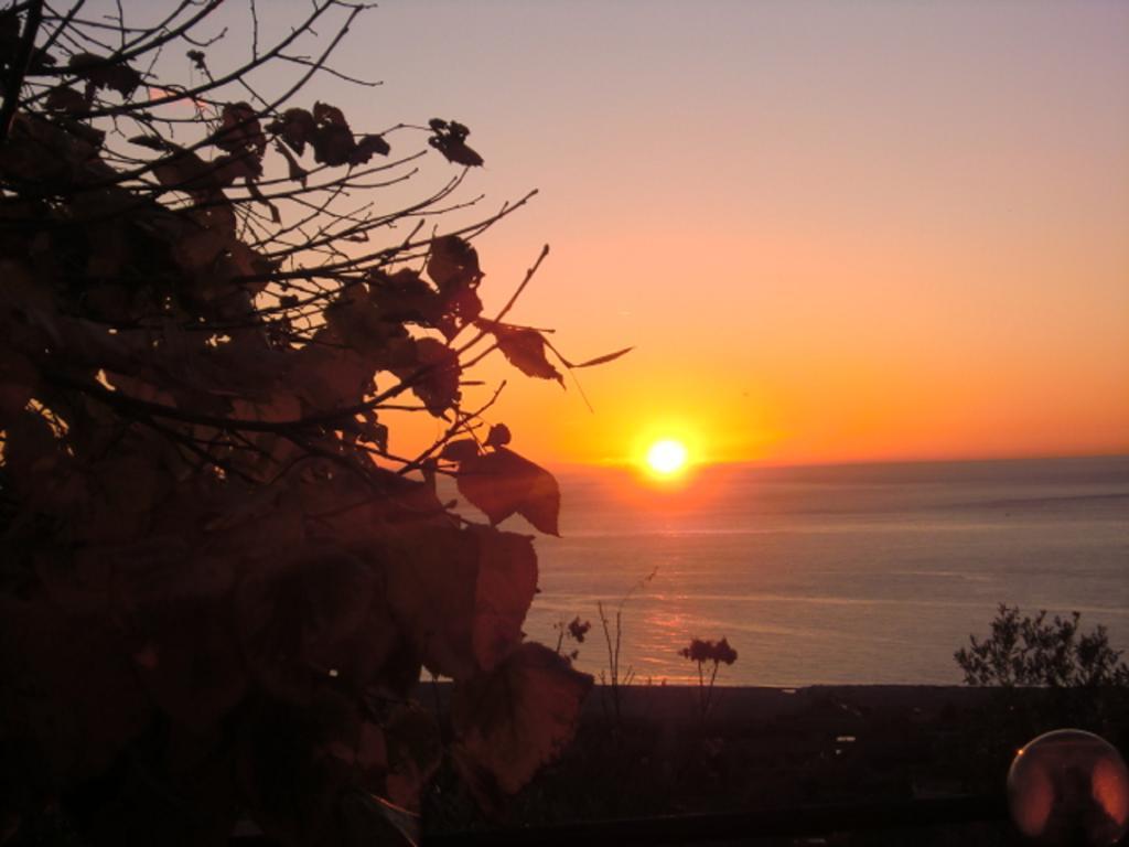 B&B L'Eucalipto Paola Εξωτερικό φωτογραφία