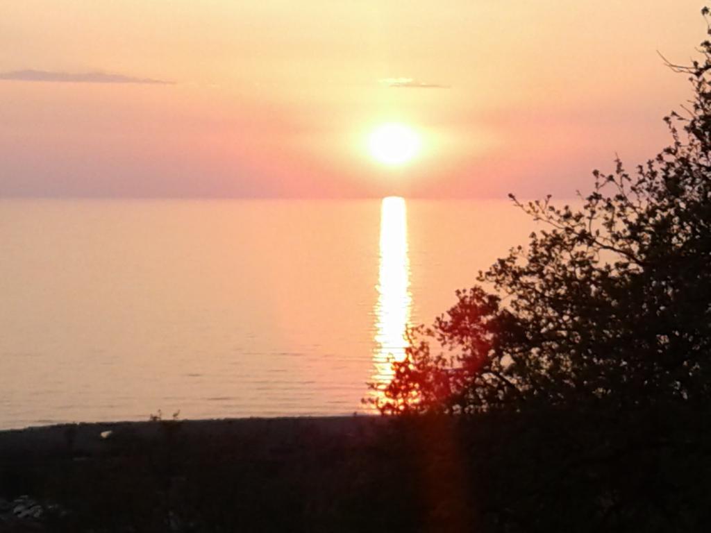 B&B L'Eucalipto Paola Εξωτερικό φωτογραφία